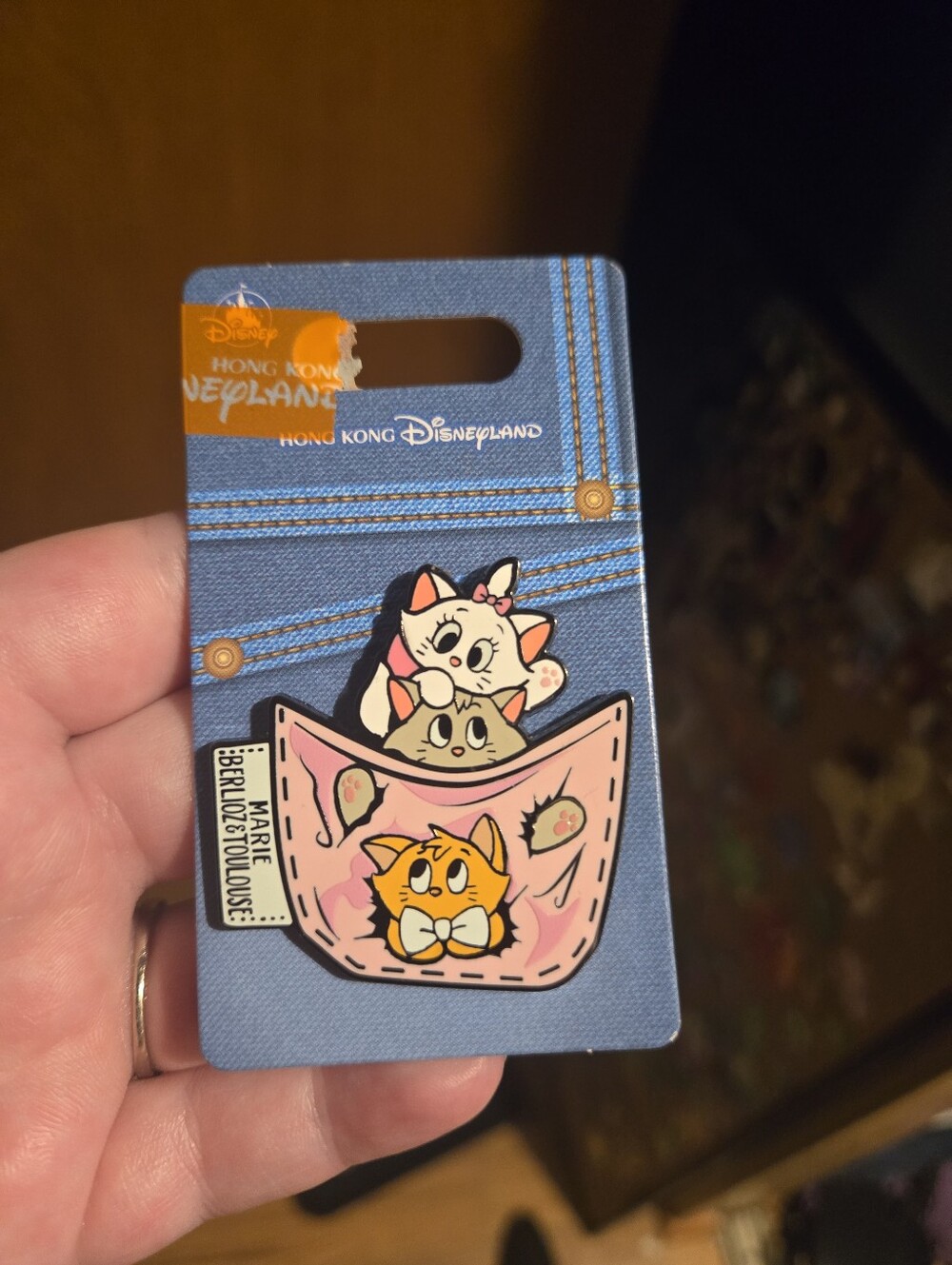Hong Kong Disneyland Aristocats Kittens Pin